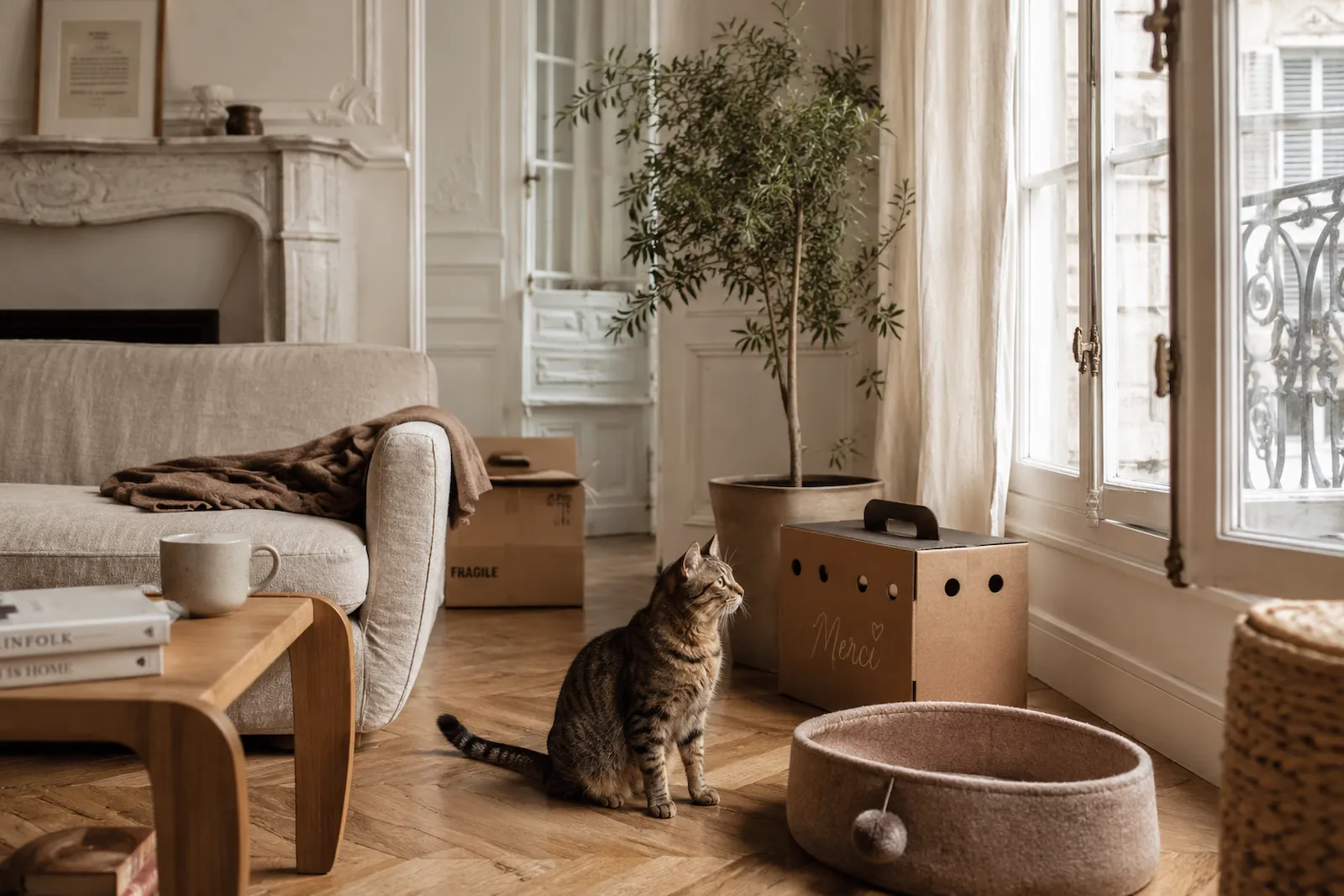 Chat tigré assis près d’une caisse de transport dans un appartement haussmannien lumineux avec canapé en lin, parquet ancien et panier pour chat.