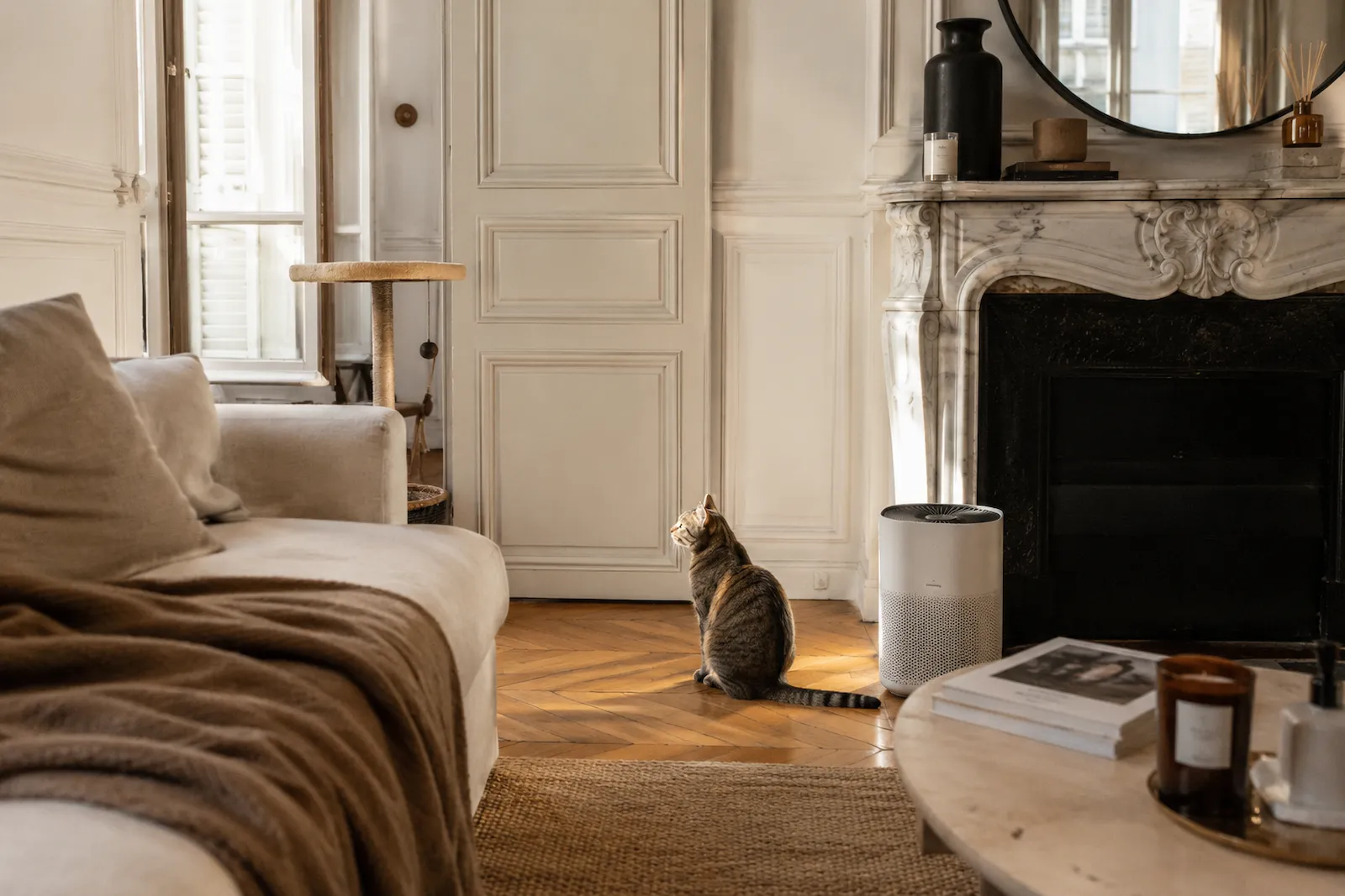 Produits anti-odeurs pour chat en appartement – intérieur NOOKTAIL avec Lou