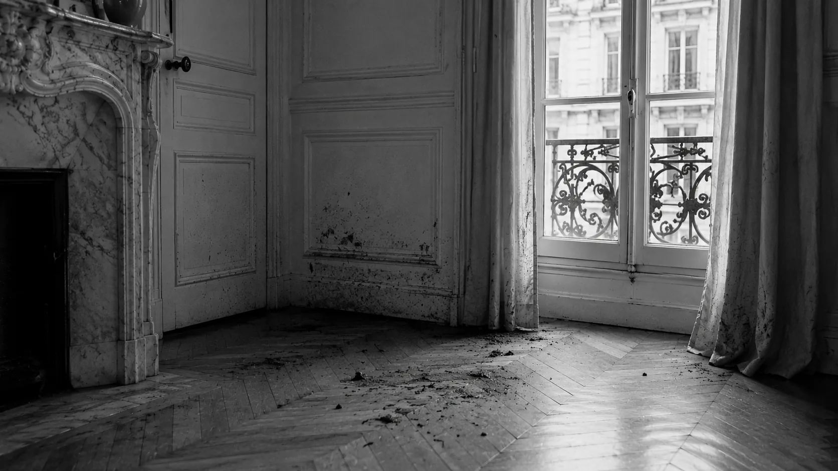 Gros plan noir et blanc d'un lapin et de son bac à litière