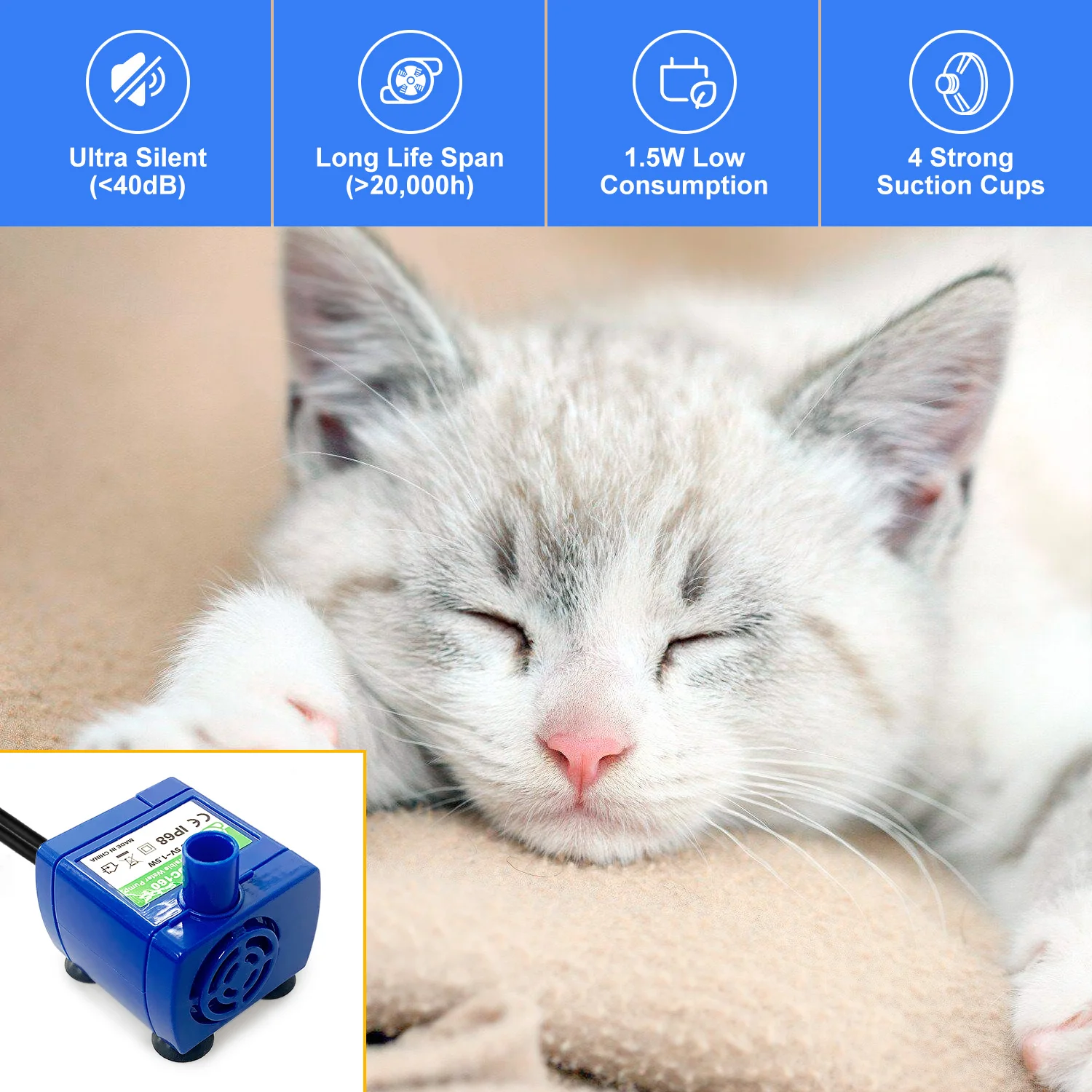 Chaton blanc et gris endormi sur un coussin beige, avec la pompe bleue en vignette en bas à gauche