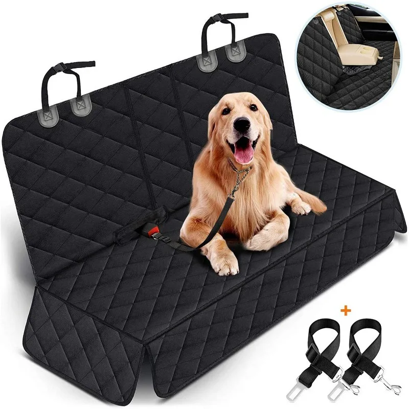 Golden retriever couché sur une housse de banquette noire, attaché par une ceinture, avec deux ceintures noires à côté