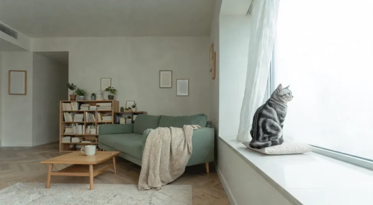 Chat tigré seul sur un coussin de rebord de fenêtre dans un salon calme et lumineux